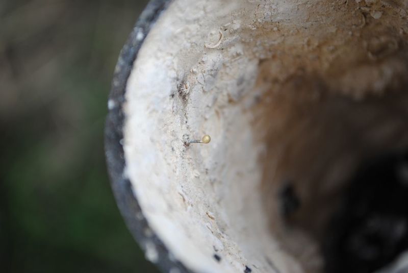 breekdraad na de test